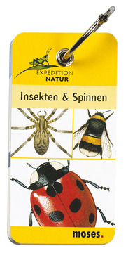 Insekten & Spinnen - Cover