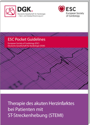 Therapie des akuten Herzinfarktes bei Patienten mit persistierender ST-Streckenhebung (STEMI) - Cover