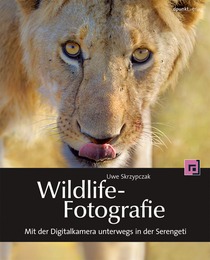 Wildlife-Fotografie