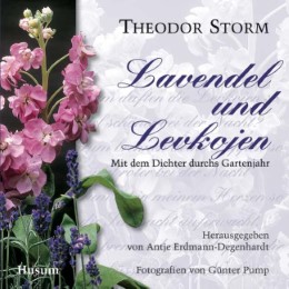 Lavendel und Levkojen
