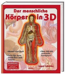 Der menschliche Körper in 3D