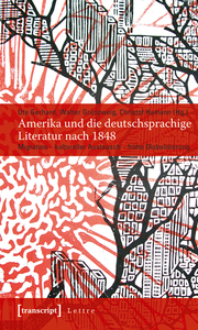 Amerika und die deutschsprachige Literatur nach 1848 - Cover