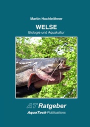 Welse (Siluridae)