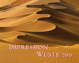 Impression Wüste 2015