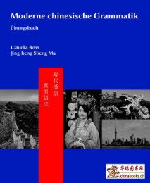 Moderne chinesische Grammatik - Übungsbuch