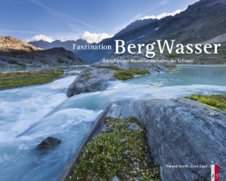 Bergwasser - Cover