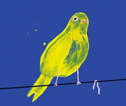 Yellow Bird with Worm