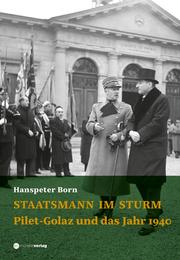 Staatsmann im Sturm - Cover