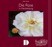 Die Rose in Mecklenburg