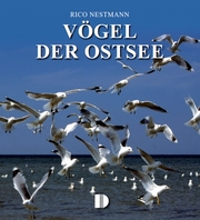 Vögel der Ostsee - Cover