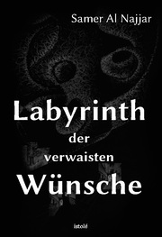 Labyrinth der verwaisten Wünsche - Cover