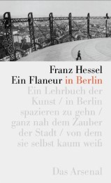 Ein Flaneur in Berlin - Cover