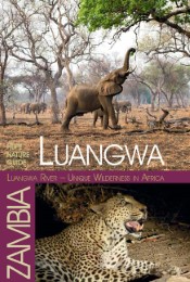 Luangwa River - Unique Wilderness in Africa