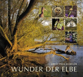 Wunder der Elbe - Cover