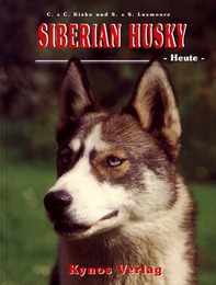 Siberian Husky - Heute
