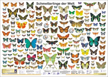 Schmetterlinge der Welt - Cover