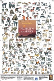 Primaten aus Afrika