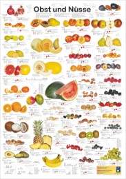 Obst und Nüsse