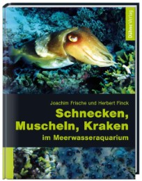 Schnecken, Muscheln, Kraken im Meerwasseraquarium