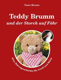 Teddy Brumm und der Storch auf Föhr - Cover