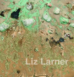 Liz Larner - Cover
