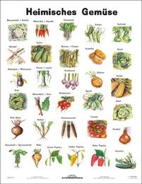 Heimisches Gemüse