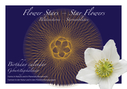 Blütensterne - Sternenblüten/Flower Stars - Star Flowers