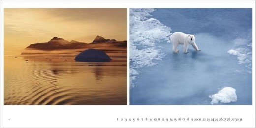 Arktische Welten - Abbildung 3