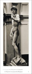 Genius Michelangelo: David - Abbildung 8
