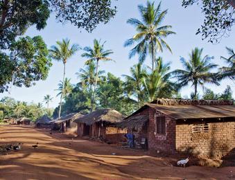 Healthy Homes in Tropical Zones.