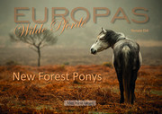 New Forest Ponys