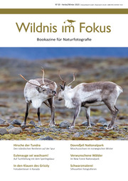 Wildnis im Fokus III - Cover