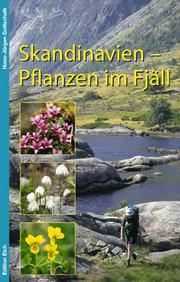 Skandinavien: Pflanzen im Fjäll