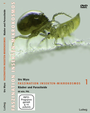 Faszination Insekten-Mikrokosmos 1