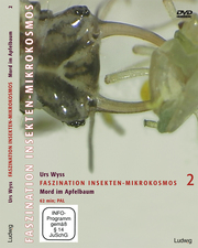 Faszination Insekten-Mikrokosmos 2