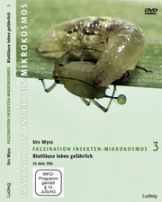 Faszination Insekten-Mikrokosmos 3