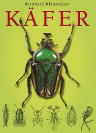 Käfer - Cover