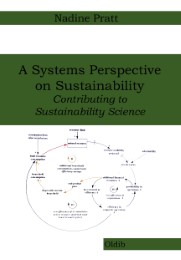 A Systems Perspective on Sustainability