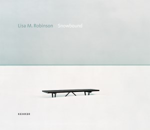 Lisa M. Robinson