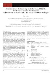 Contributions to the Knowledge of Triviidae - Abbildung 1