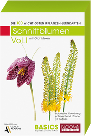 Pflanzen Lernkarten Die 100 wichtigsten Schnittblumen 1