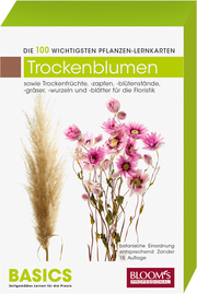 Trockenblumen - Cover