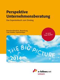 Perspektive Unternehmensberatung 2014 - Cover