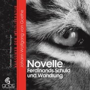 Die Novelle / Ferdinands Schuld und Wandlung - Cover