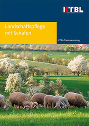 Landschaftspflege mit Schafen