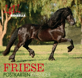 Friese 2012 - Cover