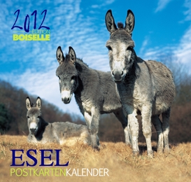 Esel 2012 - Cover