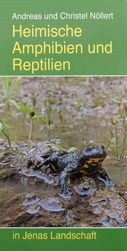 Heimische Amphibien und Reptilien