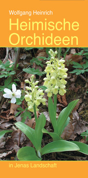 Heimische Orchideen in Jenas Landschaft - Cover