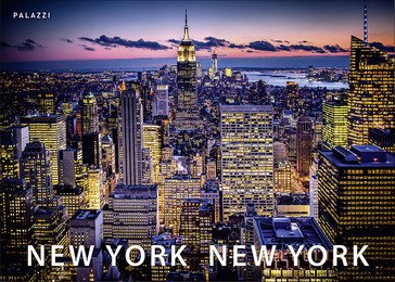 New York New York - Skyline & Impression 2015